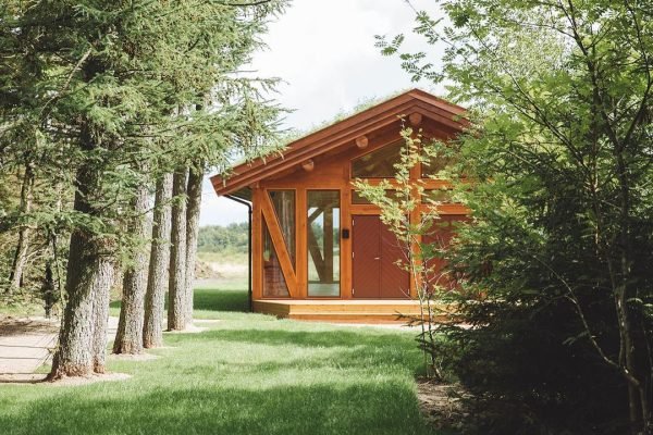 367989400_232328329787253_782894700920420444_n-1 (1)